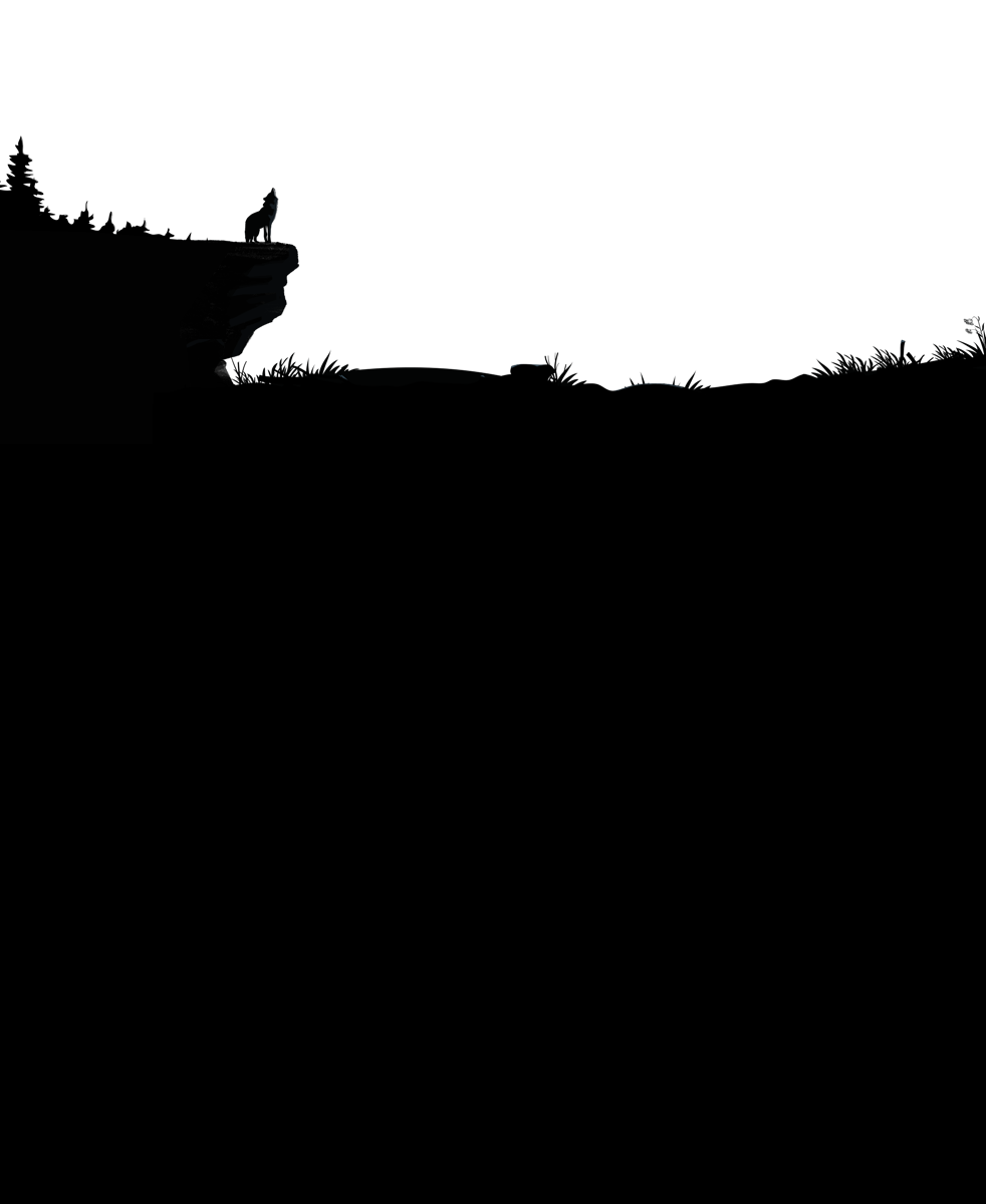 Romeo the wolf of Juneau Alaska